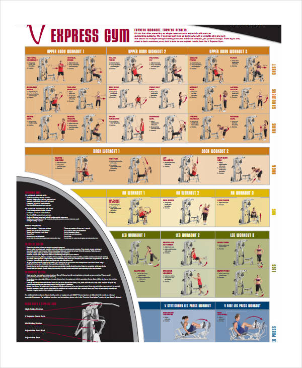 Exercise Chart Templates - 9+ Free Sample, Example Format Download
