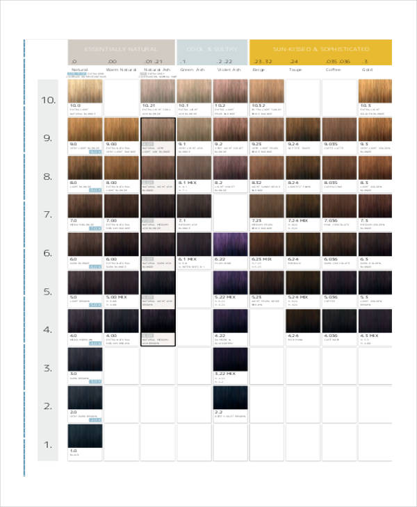 10+ Color Chart Templates - Samples, Examples