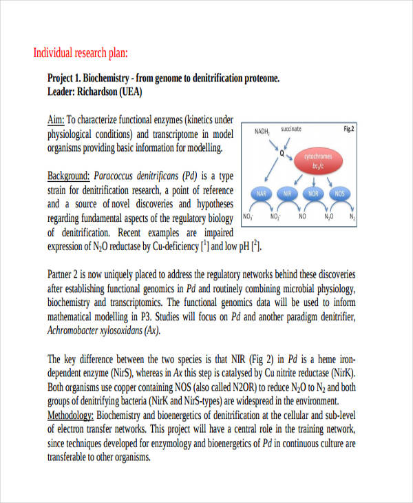 individual research plan