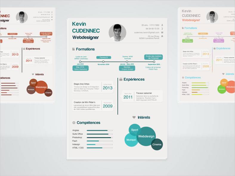 infographic resume psd1 788x591