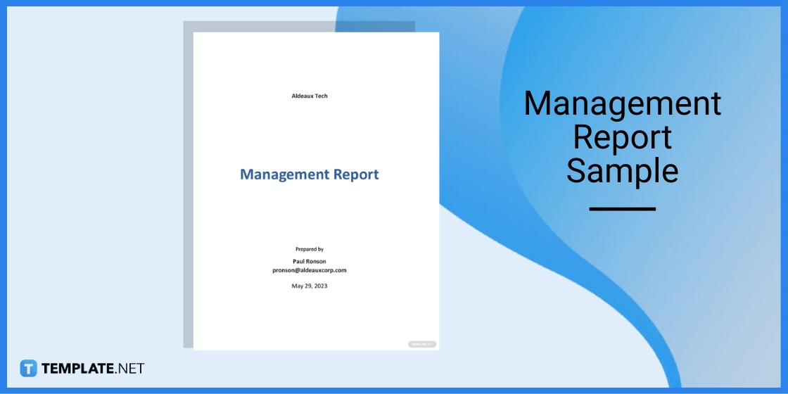 management report sample template