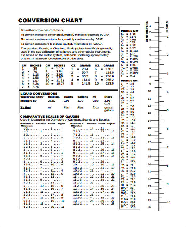 Measurement Chart Templates - 9+ Free Sample, Example Format Download