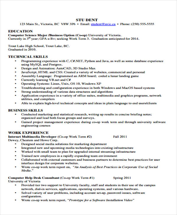 10+ Developer Curriculum Vitae Templates - Word, PDF