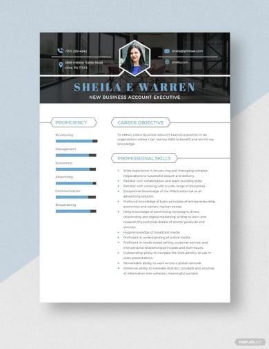 new business account executive resume template