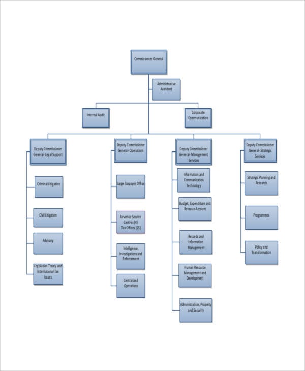 organizational hierarchy1