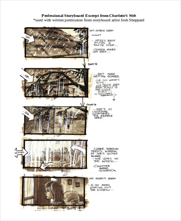 professional storyboard example