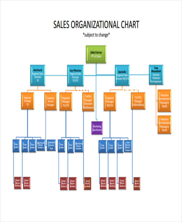 8+ Hierarchy Chart Templates - Free Sample, Example Format Download