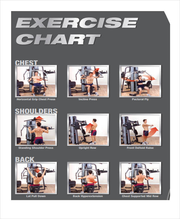 Exercise Chart Templates - 9+ Free Sample, Example Format Download