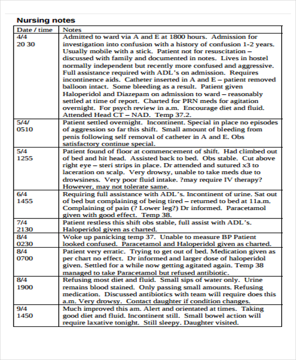 Nurse Notes Template