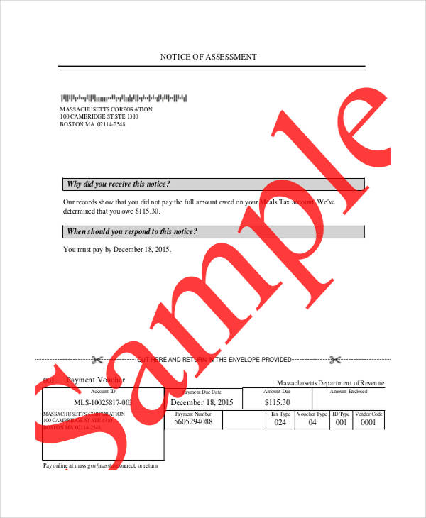 notice of assessment without mygov