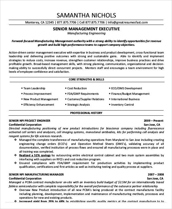 24 Best Executive Resume Templates PDF DOC