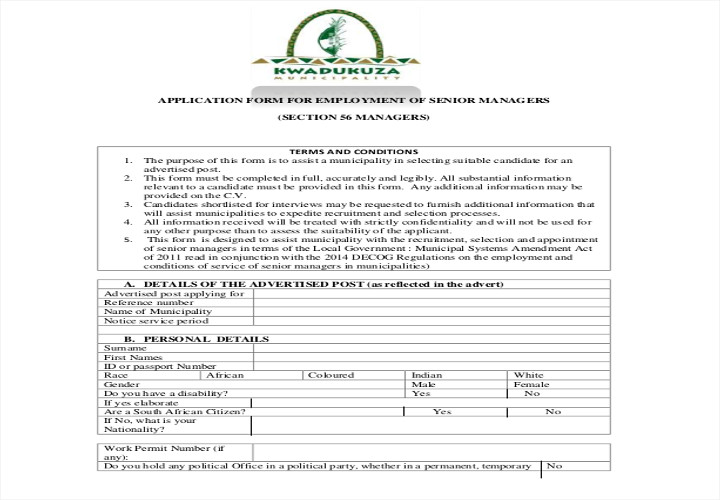 senior-manager-employment-application-form
