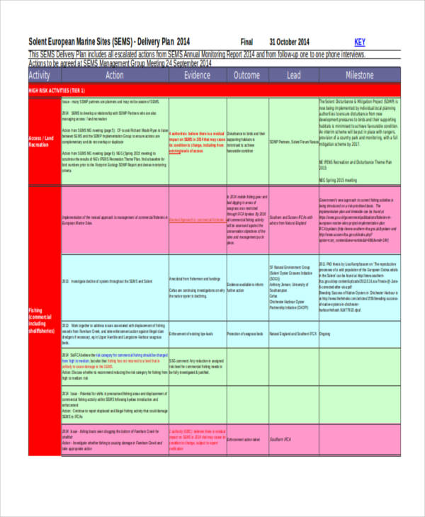 Project Delivery Plan Template Word