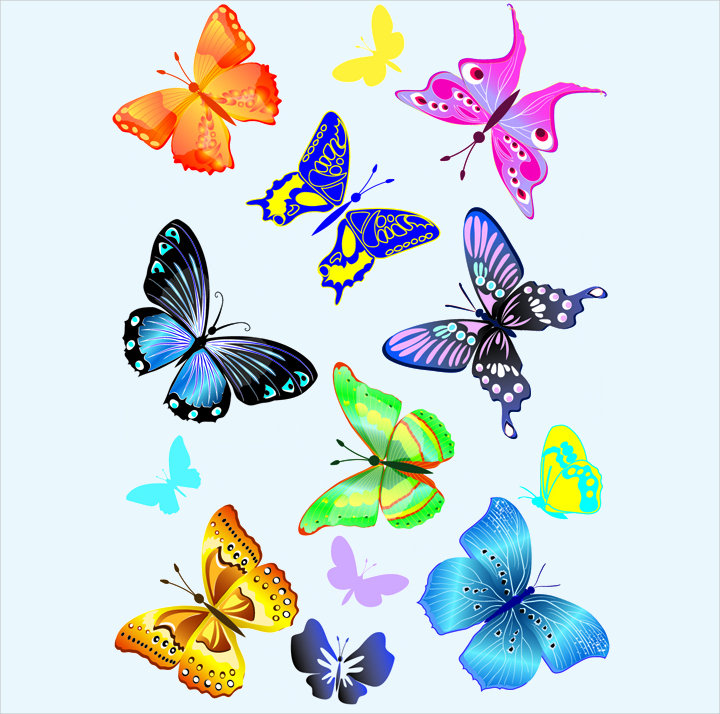 sorts of butterflies