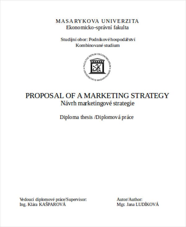 strategy proposal