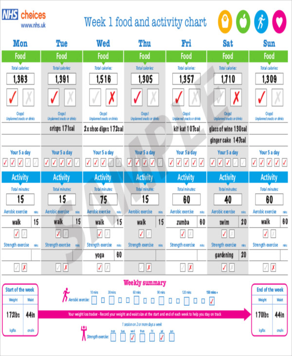 10-food-chart-templates-sample-examples