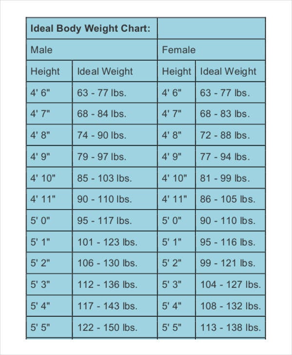 9+ Body Chart Templates - Word, PDF