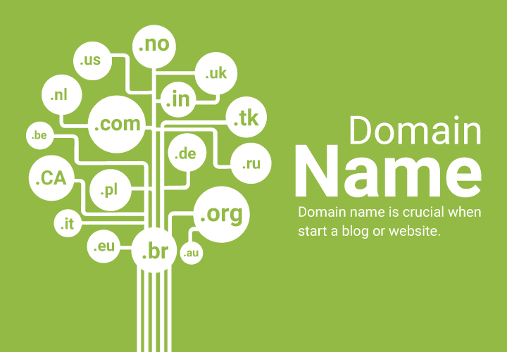 domain name new