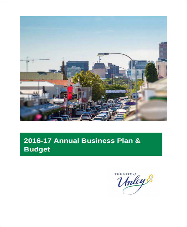 annual business budget plan