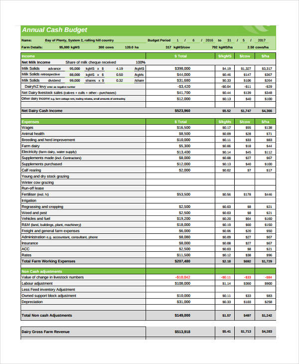 29+ Sample Budget Templates