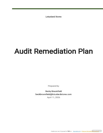 audit remediation plan template