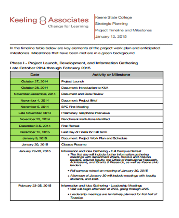 39+ Project Timeline Examples - Word, PDF, Docs