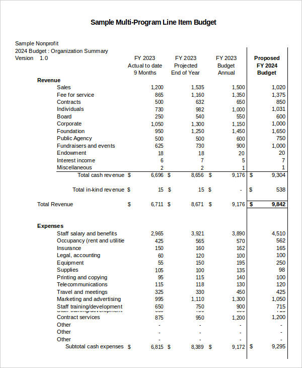 budget for non profit project