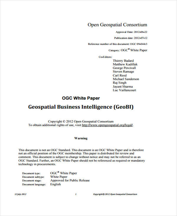 business intelligence white paper