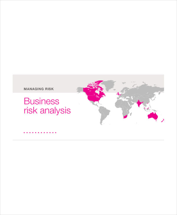 business risk analysis