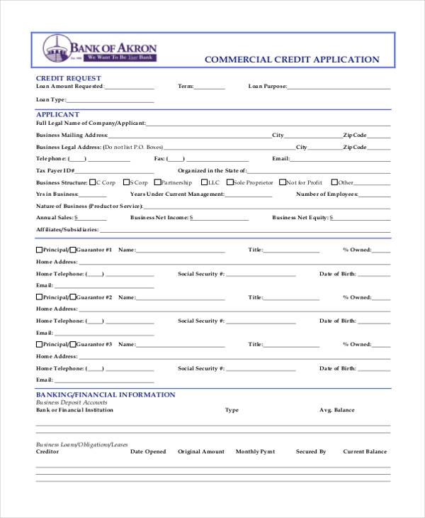 commercial credit application
