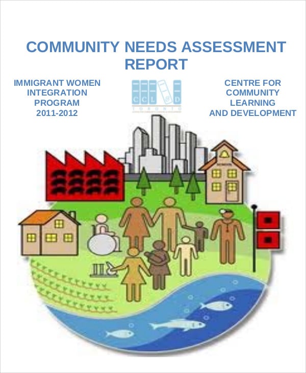 community needs assessment report