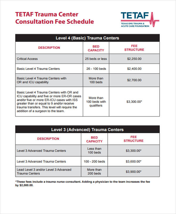 6+ Fee Schedule Templates Free Samples, Examples Format Download