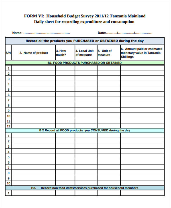 10 Daily Budget Templates Sample Example Format Download