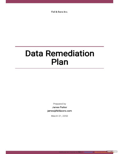 data remediation plan template