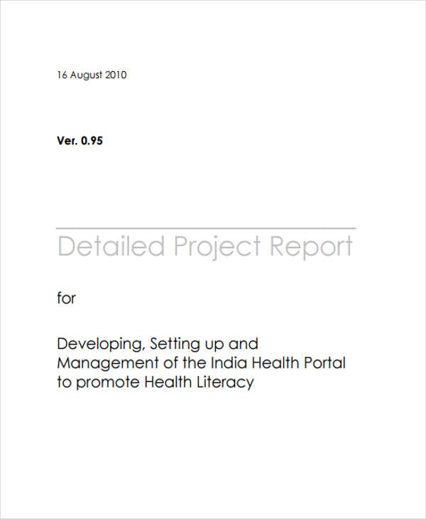 detailed project report format