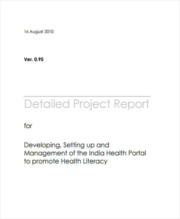 detailed project report format