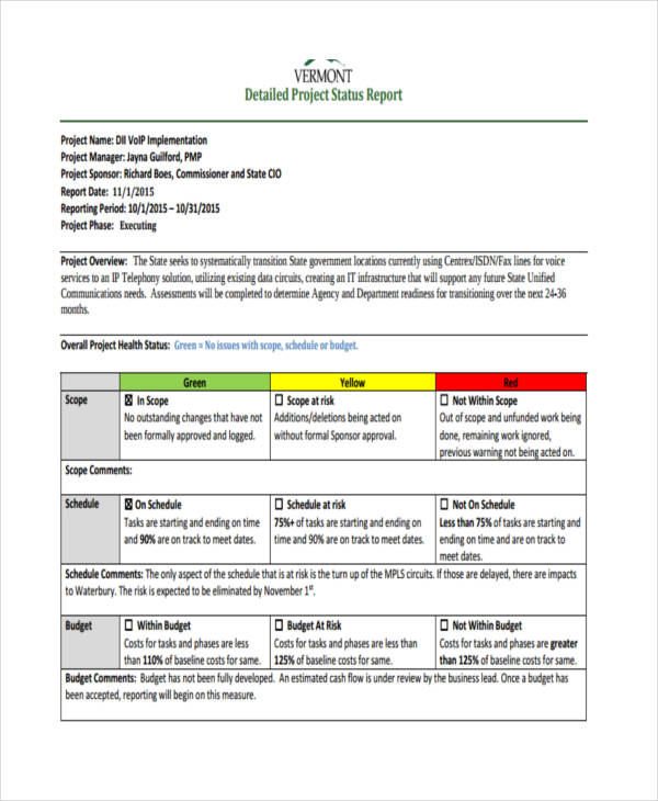 detailed project status report