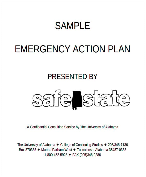 emergency safety action plan
