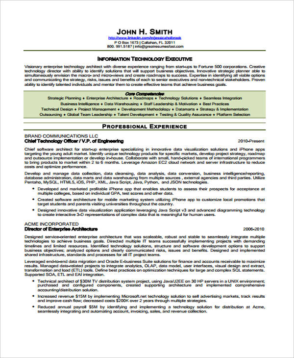 8+ Sample IT Curriculum Vitae Templates - PDF, DOC