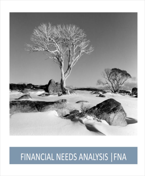 financial-needs-analysis-example