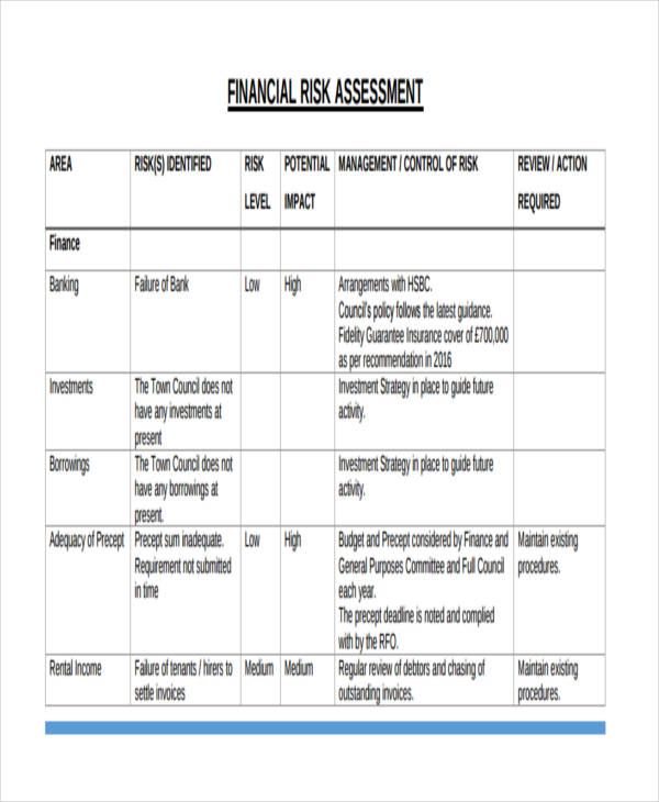 financial risk assessment example