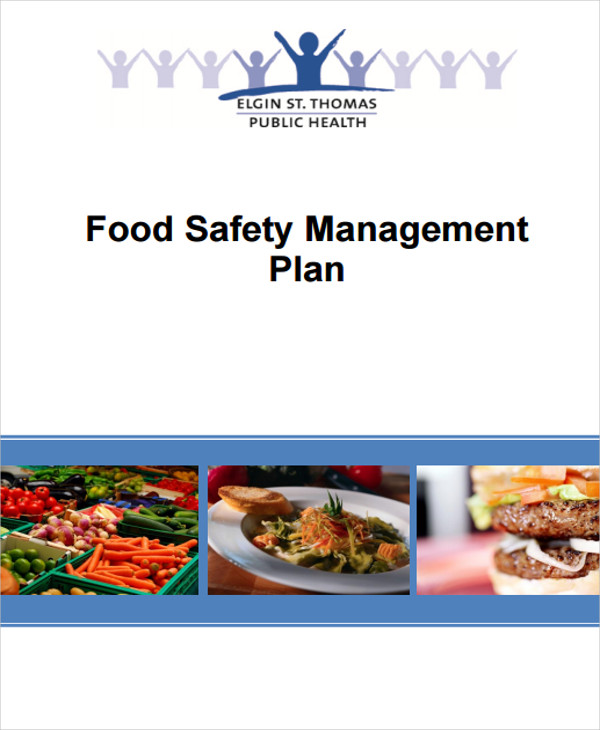 9+ Quality Management Plan Templates Free PDF, Word Format Download