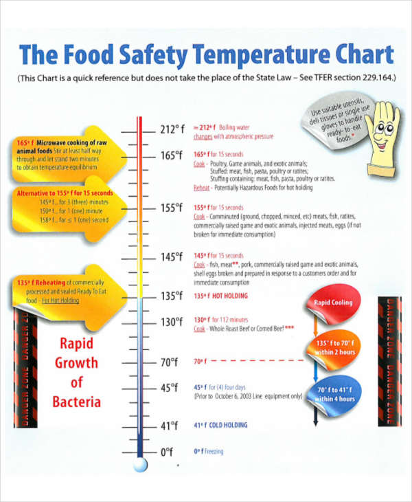 Meat Temperature Chart (FREE PRINTABLE!) and Food Safety