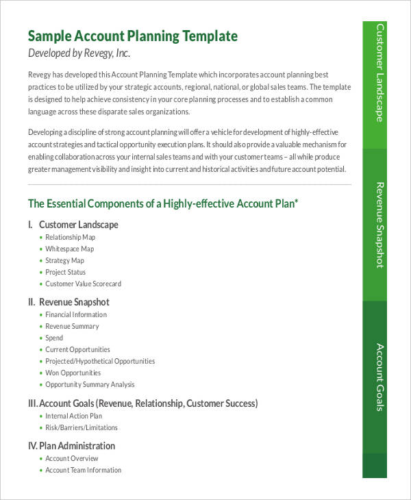 10+ Strategic Account Plan Templates -Free Sample ,Example Format Download