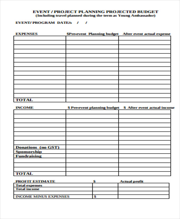 fundraising expense report template