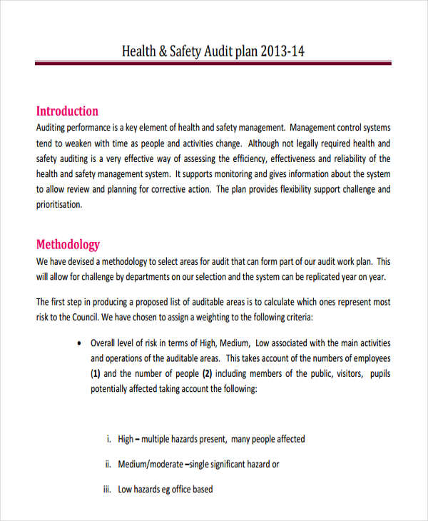 health and safety audit plan