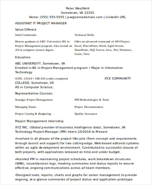 it assistant project manager resume