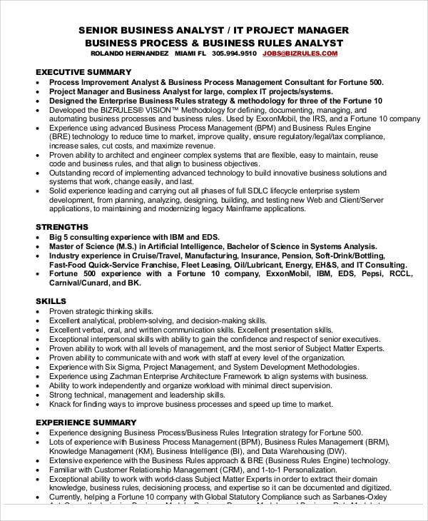 it business analyst resume