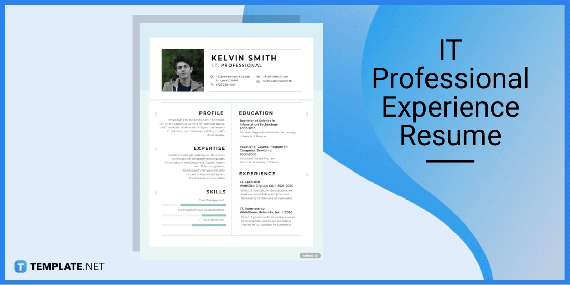 it professional experience resume template