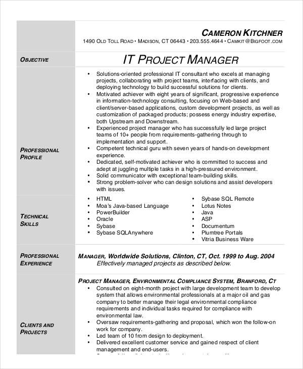it project manager resume